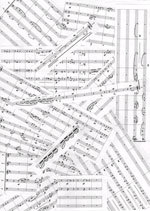 Thea Zimpel: Flute concerto for Sarah Hewat