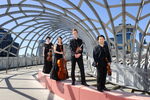 Flinders Quartet "The Lonely Planet"