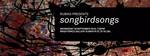 songbirdsongs