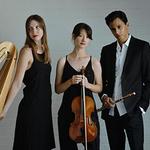 Chrysalis Trio in Mt Gambier