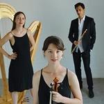 Chrysalis Trio in Bendigo