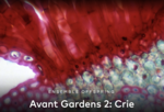 Avant Gardens 2: Crie