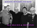 Acoustic Wonderland Band