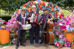 The Faculties at Jelly Roll Blues