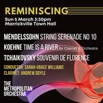 The Metropolitan Orchestra Making Magic In Marrickville