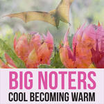 BackStage Music presents Big Noters - Cool Becoming Warm