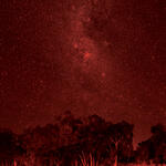 AUSTRALIAN SERIES | FIRST LIGHT