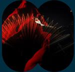 Concerto for Classical Accordion - Tasmanian Symphony Orchestra