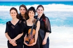 Australian String Quartet at Campbell Park Station