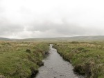 Crossing Dartmoor