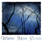 Winter Moon Secrets