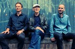 The Mike Nock Trio - THREE OUT 'REDUX': The classic MOVE album revisited