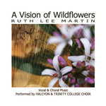 vision of wildflowers