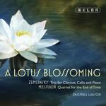 Lotus Blossoming