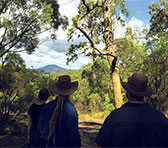 Mount Yengo