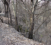 Babi Yar ravine in present-day Ukraine