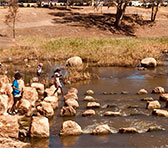 Barwon River - backdrop to the festival stage.