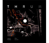 THRUM - exploring multiphonics & percussive piano