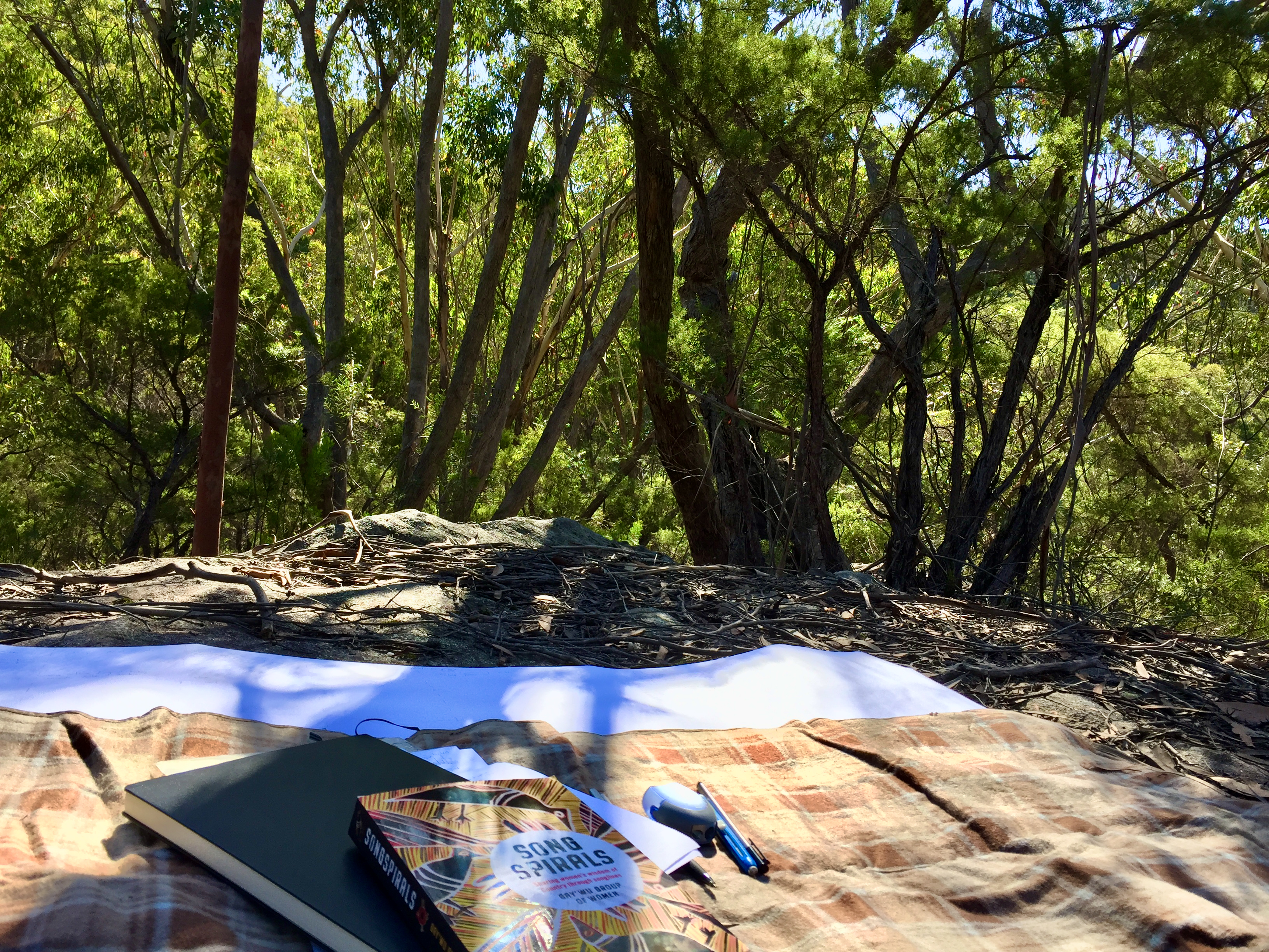 Song Spirals book in the bush