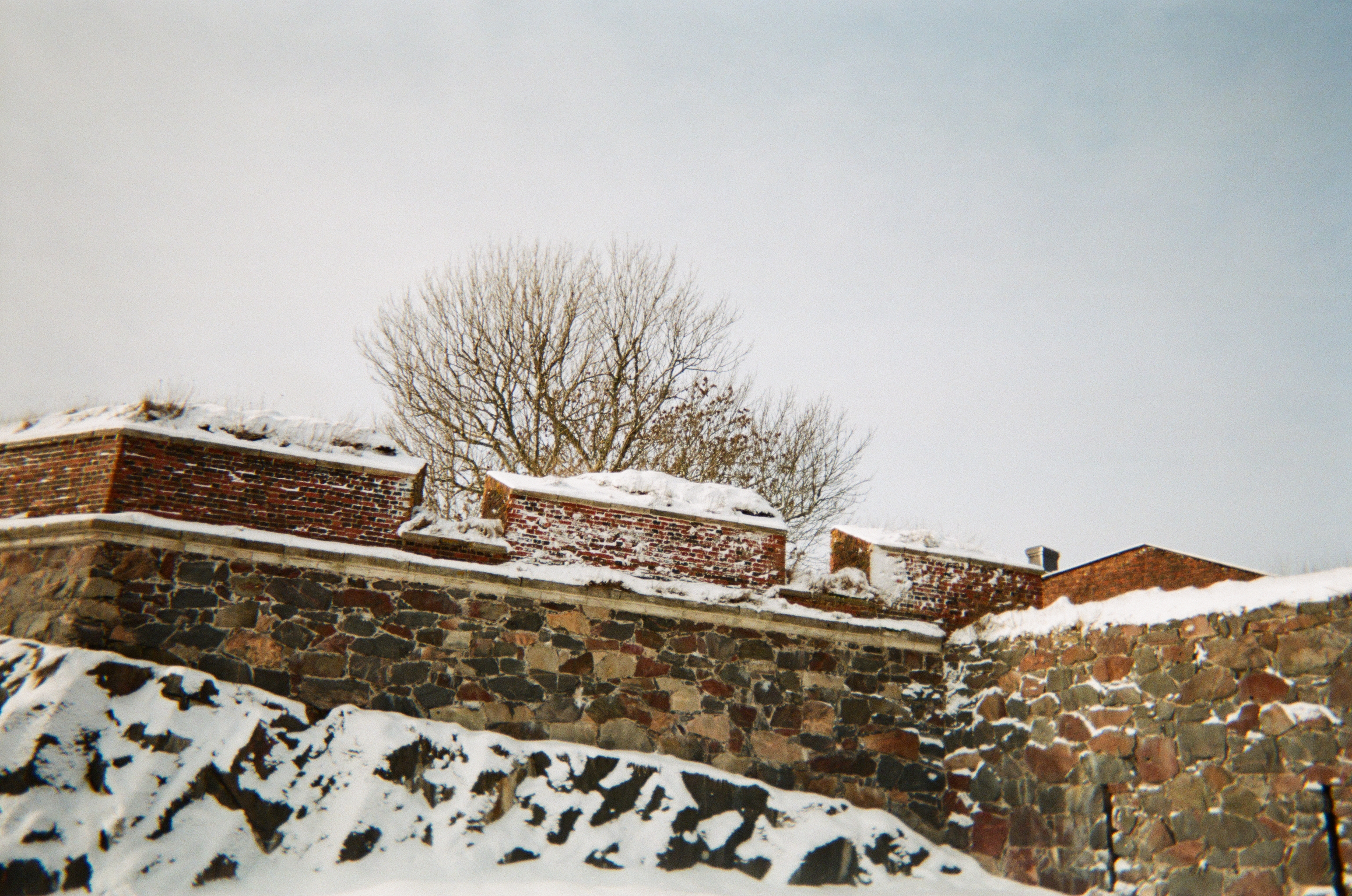 Photo Credit: Helen Svoboda